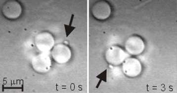 Οπτική λαβίδα λέιζερ μετακινεί και περιστρέφει μικροσκοπικά αντικείμενα