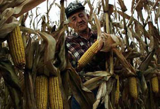 Τρόφιμα άγνωστης σύστασης: Μεθόδους εντοπισμού των ΓΤ φυτών ζητά η βιομηχανία τροφίμων στις ΗΠΑ