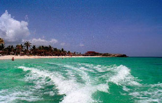 «Αναποτελεσματικές οι σημερινές τακτικές για την προστασία της βιοποικιλότητας»