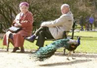 5ο Πανελλήνιο Συνέδριο της Ελληνικής Εταιρείας για τη Σκλήρυνση Κατά Πλάκας: Αισιόδοξα τα μηνύματα