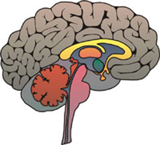 Η μουσική μάς… αλλάζει τα μυαλά;