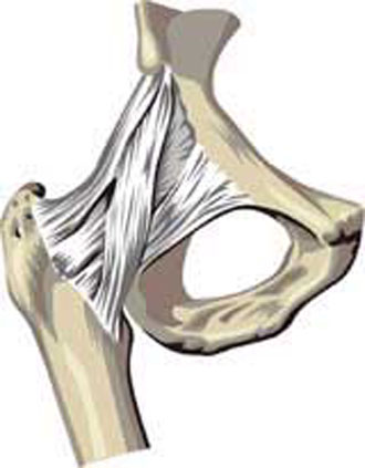 Νέα όπλα στη μάχη κατά της οστεοπόρωσης