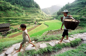 Διαμάχη για τα διαγονιδιακά φυτά: Για απληστία κατηγορούνται οι εταιρείες βιοτεχνολογίας