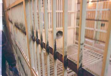 Αλλη μία γυναίκα νεκρή από απεργία πείνας στην Τουρκία – 26 συνολικά τα θύματα