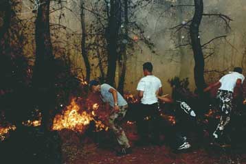 Παραδομένο στις φλόγες δάσος στην Κόνιτσα