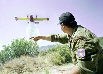 Περισσότερα από 500 στρέμματα δασικής έκτασης κατέκαψε η φωτιά στο Βέρμιο