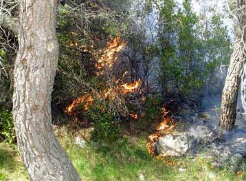 Σαράντα δύο πυρκαγιές σημειώθηκαν το τελευταίο 24ωρο στη χώρα