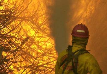 Στις φλόγες τυλίχτηκαν κοντέινερ στη Δραπετσώνα