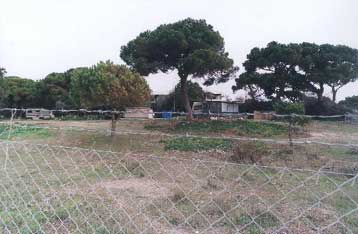 Αρχαίο νεκροταφείο αποκαλύφθηκε στην περιοχή του κωπηλατοδρομίου στο Μαραθώνα