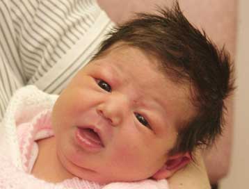 Νομοσχέδιο για την συνολική απαγόρευση του κλωνισμού κατατέθηκε στη Γαλλία