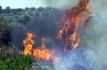 Στο έλεος της φωτιάς; Ανέτοιμος ο κρατικός μηχανισμός για την αντιμετώπιση των πυρκαγιών