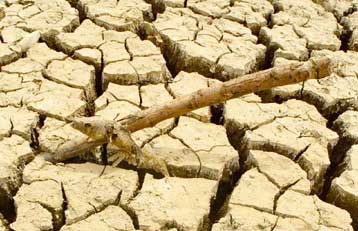 Τη λήψη άμεσων μέτρων κατά της ερημοποίησης και της ξηρασίας ζητά ο ΟΗΕ