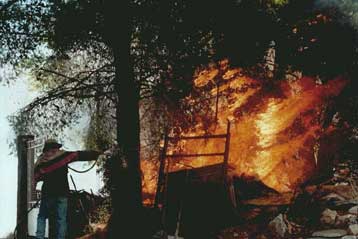 Πυρκαγιά κατακαίει δασική έκταση στην Κέρκυρα