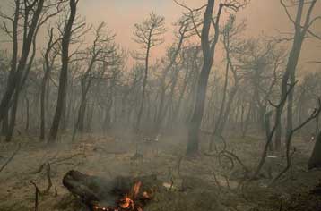 Έρημο τοπίο και υψηλές θερμοκρασίες ο εφιάλτης της Αττικής