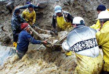 Τριάντα έξι νεκροί από κατολισθήσεις ανατολικά του Κίτο