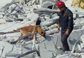 Παραπέμπεται ο ιδιοκτήτης της ΦΙΑΛΟΠΛΑΣΤ για την κατάρευση του εργοστασίου στο σεισμό του 1999