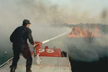 Στις φλόγες η Σκόπελος – Κεραυνός προκάλεσε καταστροφική πυρκαγιά σε πευκοδάσος
