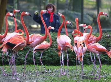 Πρόγραμμα μελέτης των οικοσυστημάτων του πλανήτη ανακοινώνει ο ΟΗΕ
