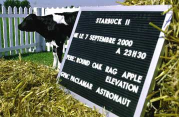 Ελέγχους των κλωνοποιημένων ζώων προτού διατεθούν στην αγορά τροφίμων ζητά η FDA