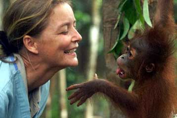 Πλανητικό «τσεκάπ» για την προστασία της φύσης εγκαινιάζει ο ΟΗΕ