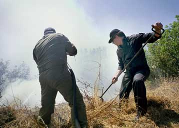 Στάχτη 20.000 στρέμματα αγροτοδασικής έκτασης και 50 εξοχικά