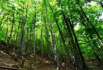 Εκδηλώσεις και μηνύματα για την Παγκόσμια Ημέρα Περιβάλλοντος