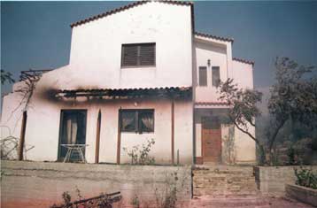 Σε ύφεση η μεγάλη πυρκαγιά στον Ωρωπό