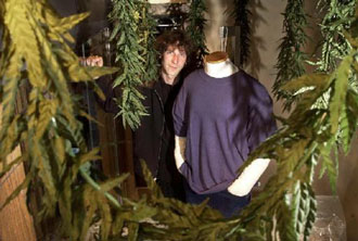 Την αποποινικοποίηση της ινδικής κάνναβης για προσωπική χρήση προτείνει η ΕΛ.ΑΣ. στον Μ.Χρυσοχοΐδη