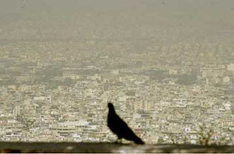 Φωτοχημικό νέφος θα ταλαιπωρεί επί χρόνια την Αθήνα, δηλώνει η Greenpeace