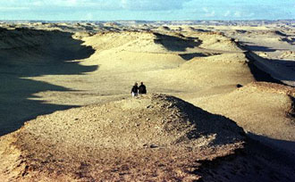 Η έρημος της… Αττικής
