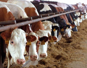 Παρατείνεται η απαγόρευση της χρήσης κρεατάλευρων