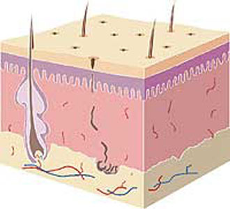Νέα φάρμακα για την ψωρίαση