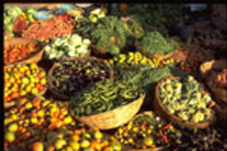 Η διατροφή με φυτικές ίνες προστατεύει από το καρκίνου του έντέρου