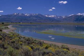 5 Ιουνίου: Παγκόσμια Ημέρα Περιβάλλοντος. Τα προβλήματα δεν αντιμετωπίζονται με ευχές… αλλά με έργα