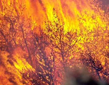 Σε εξέλιξη βρίσκονται οι πυρκαγιές στην Πρέβεζα και τη Φλώρινα