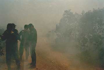 Ταλαιπωρία οδηγών και… πυροσβεστών από πυρκαγιά στη Μαλακάσα