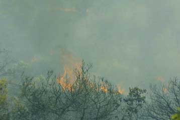 Παραδομένη στις φλόγες η Μεγαλόπολη Αρκαδίας