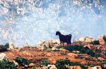 Η Ελλάδα στάματησε να πληρώνει το πρόστιμο για τη χωματερή Κουρουπητού