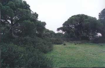 Σοφές οι αποφάσεις σας για το Μαραθώνα δηλώνει με επιστολή της προς τον ΥΠΠΟ η Ρομιγί