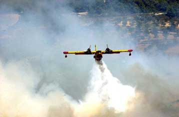 Υπό έλεγχο τέθηκε η πυρκαγιά στη Σιθωνία Χαλκιδικής