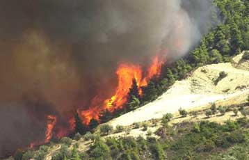Μαίνεται η πυρκαγιά στη Σιθωνία