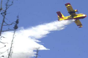 Μαίνεται πυρκαγιά στη Σιθωνία Χαλκιδικής