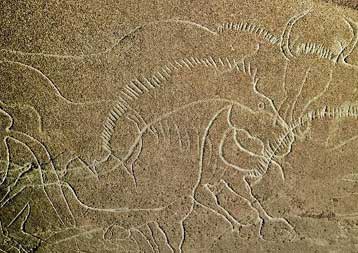 Σπηλιά στη Γαλλία έκρυβε εγχάρακτα σχέδια ηλικίας 30.000 ετών