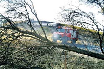 Υπό πλήρη έλεγχο η πυρκαγιά στη θέση Κατσιμίδι της Πάρνηθας