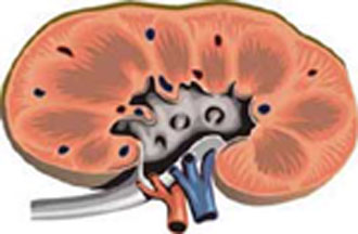 Τα αναλγητικά δεν βλάπτουν τους νεφρούς