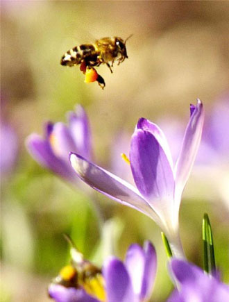 Τσιμπήματα σε θάλασσα και βουνό: Οδηγός πρόληψης και αντιμετώπισης
