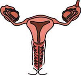 Ελπίδες τεκνοποίησης για τις πάσχουσες από καρκίνο τραχήλου μήτρας