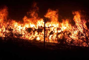 Οκτώ νέα κρούσματα αφθώδους πυρετού στη Βρετανία
