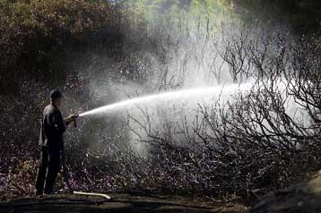 Υπό έλεγχο τέθηκαν οι πυρκαγιές σε Ηλεία, Κέρκυρα και Θεσπρωτία
