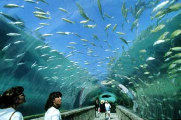 Ασκοπες και ανήθικες πολλές επενδύσεις για το περιβάλλον, υποστηρίζει πρώην μέλος της Greenpeace